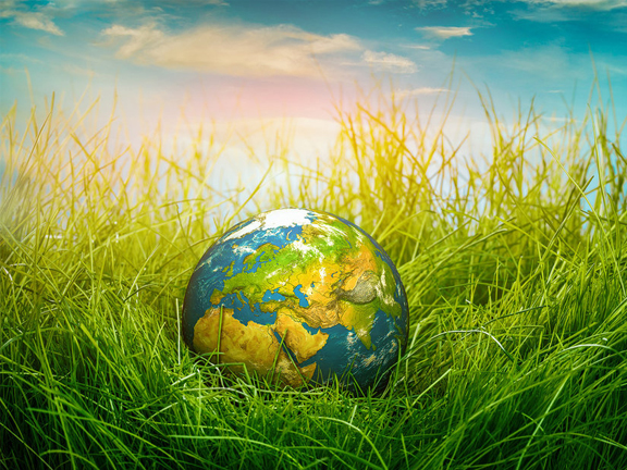 Экологический след: сколько нам нужно планет?  "Незаметные" глобальные проблемы