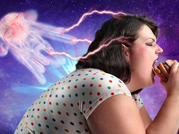 Как избавиться от лярвы. Несколько важных рекомендаций