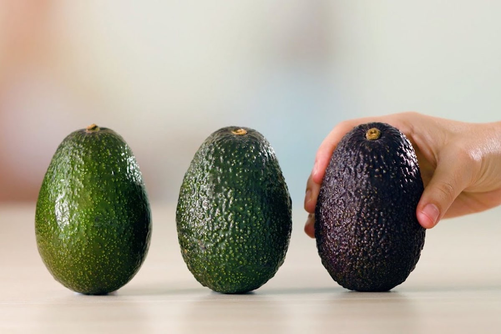Почему нельзя авокадо. Авокадо сорта Хасс спелый. Хасс (сорт авокадо). Степень зрелости авокадо Хасс. Сорт авокадо Пинкертон.