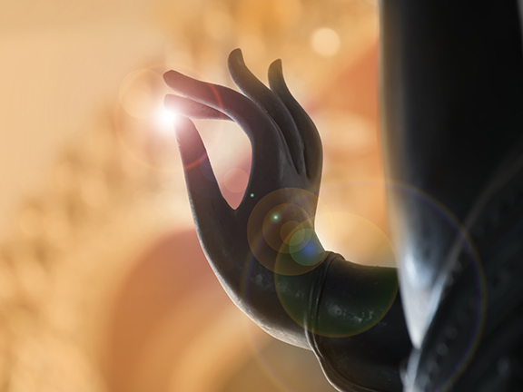 Новые живые существа