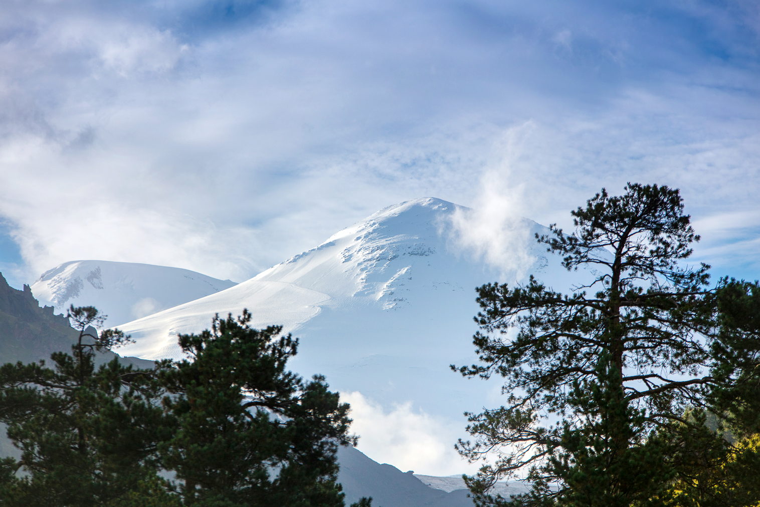 image-118137-1642679557