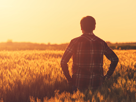 Крестьянин и пропавший кошелёк с деньгами