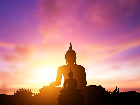 Путь пробуждения. Реальная история