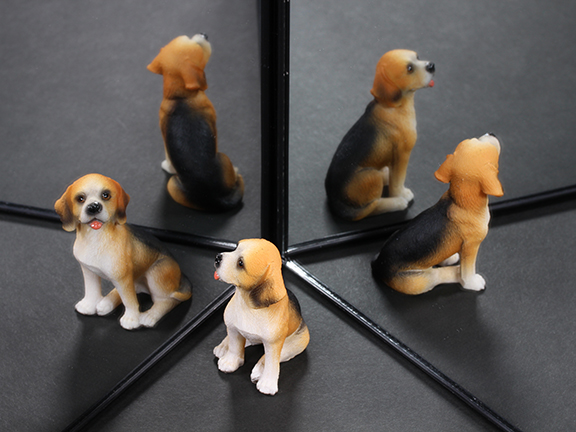 Даосская притча про отражение