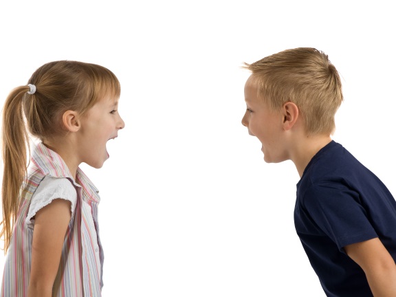 Словарь йоги. Двеша