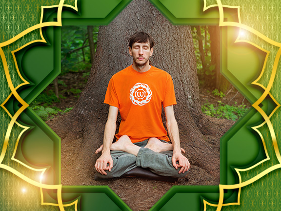 Фотографии