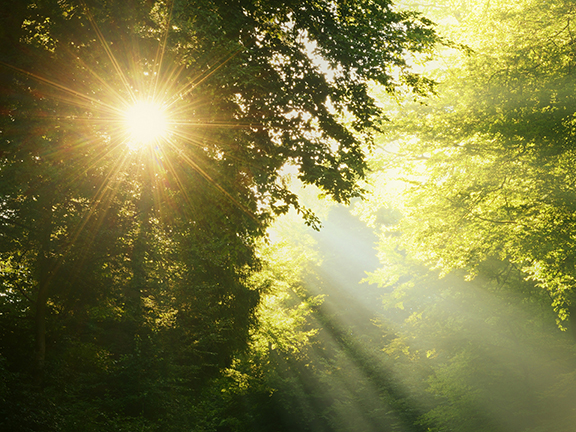 Образ солдата