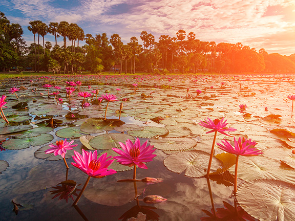 Учитель Майтрипа