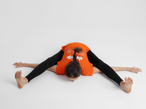 Супта Курмасана|