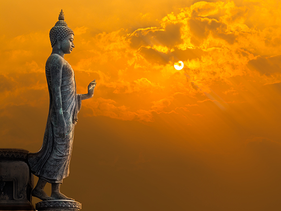 Ядовитая змея