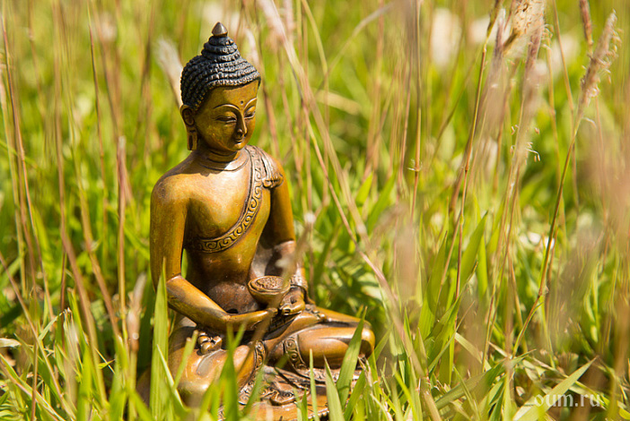 статуэтка будды в траве