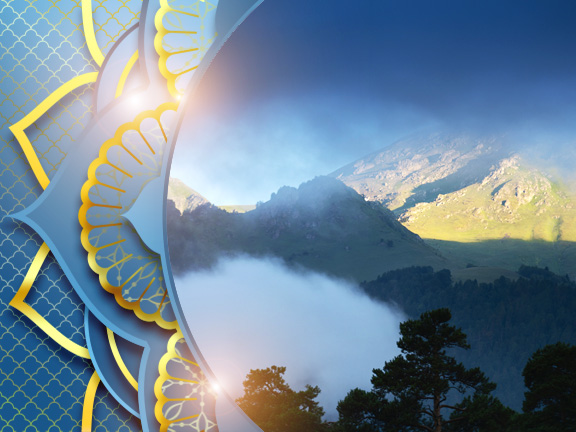 Фотографии