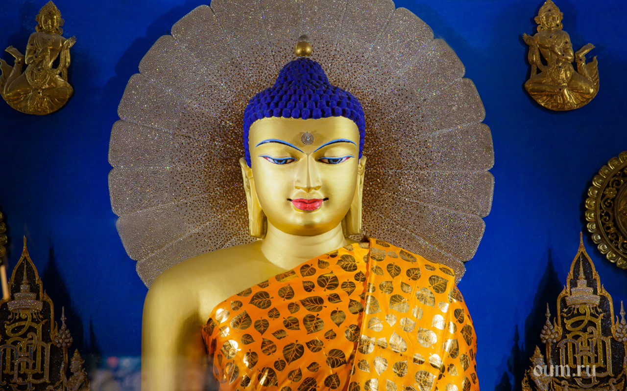 Дорог будды. Будда Шакьямуни фото. Будда торжествующий. Бодхгая буддизм. Будда Шакьямуни портрет.