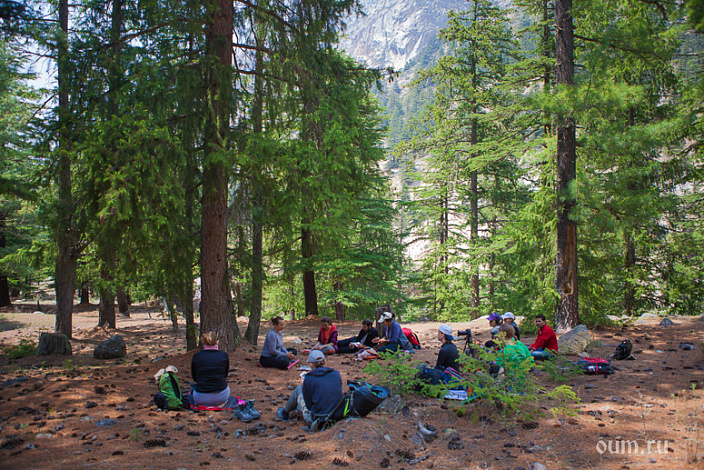 группа туристов в лесу