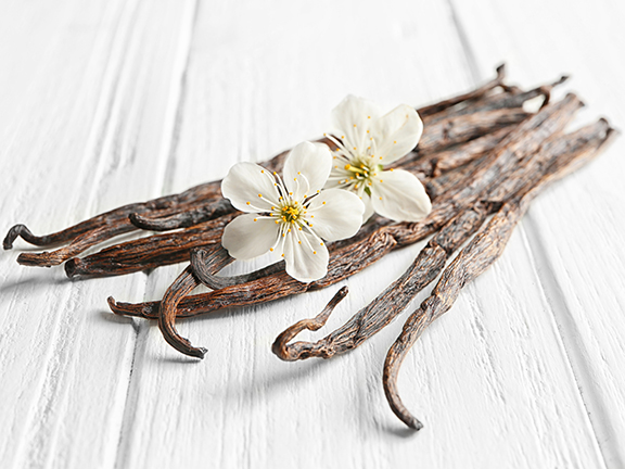 ваниль, цветок ванили