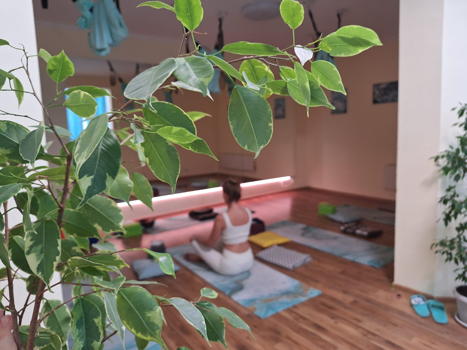 image-124739-1743002862