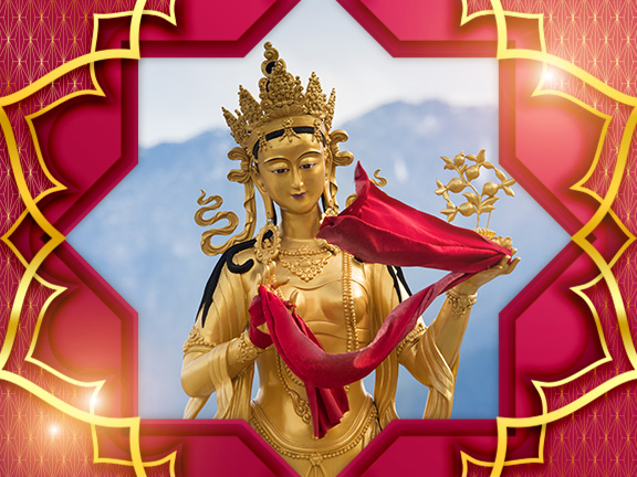 Фотографии