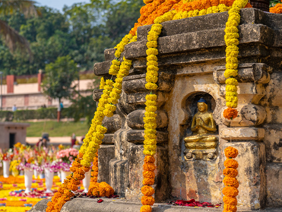 Джатака о черепахе