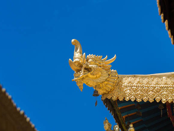 Наги, драконы