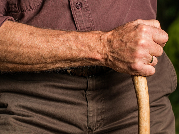 Воспитание палкой