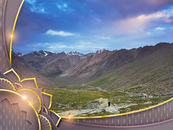 Фотографии