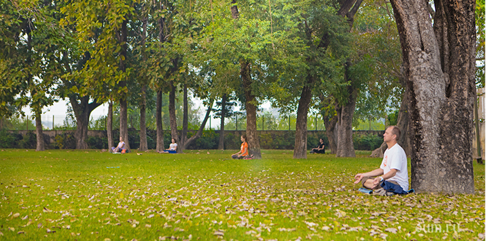 йоги под деревьями фото