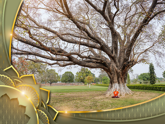 Фотографии