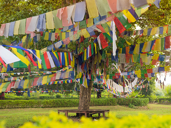 Джатака об убийстве животных