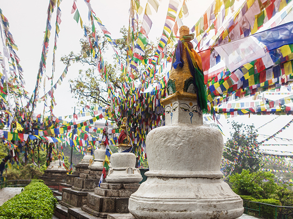 Джатака о Лосаке