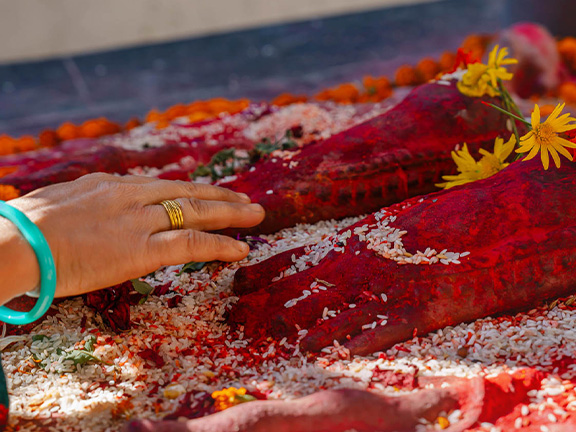 Джатака о золотом гусе