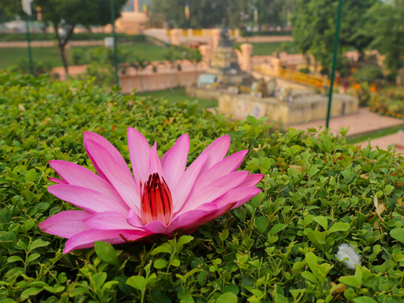 Джатака о Дорчже – дочери царя Прасенаджита