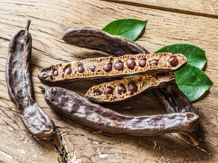 Кэроб – полезная альтернатива шоколаду и какао