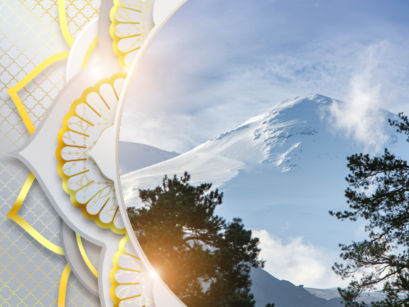 Фотографии