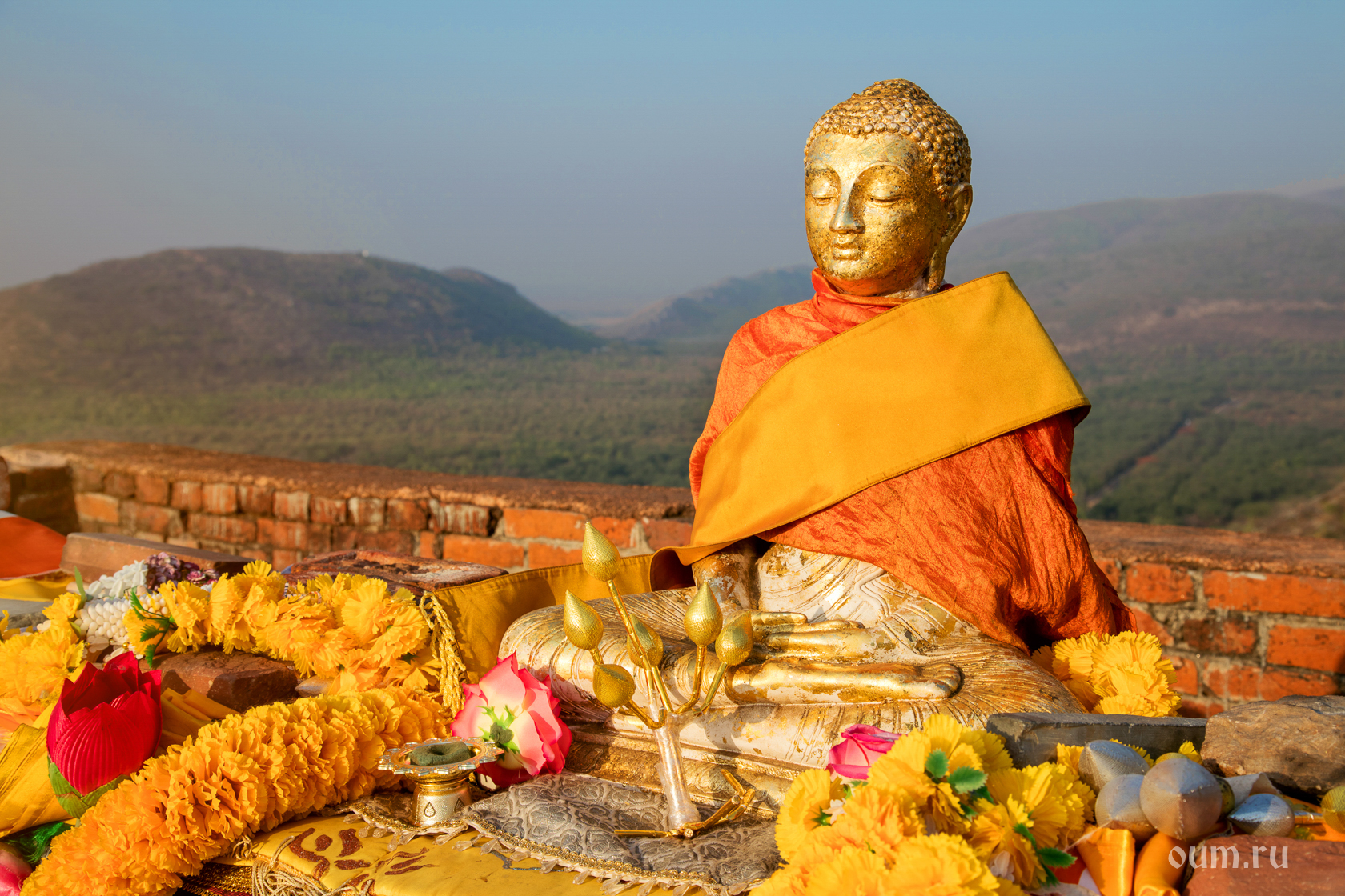 Будда идеи. Будда Татхагата Китай. Будда Випассана. Сутра лотоса чудесной Дхармы. Западный буддизм.