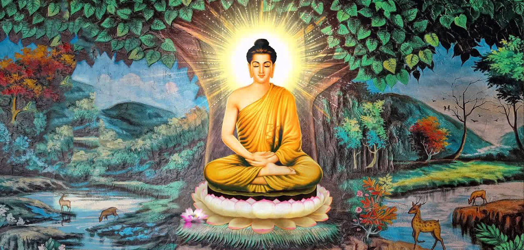 Страна где родился принц гаутама. Сиддхартха Гаутама Шакьямуни. Будда Шакьямуни 14. Будда Гаутама. Будда Сиддхартха.
