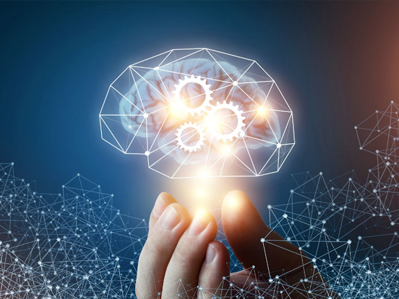 мозг человека