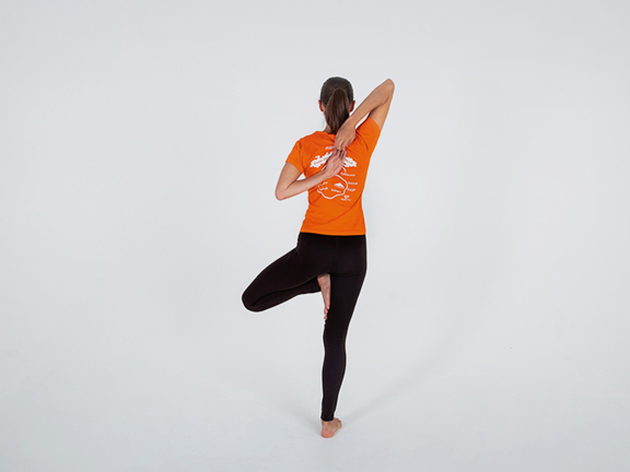 Хаста Гомукхасана во Врикшасане