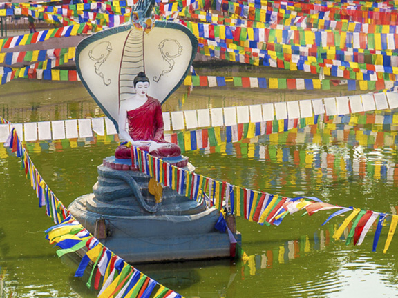 Джатака о мясе