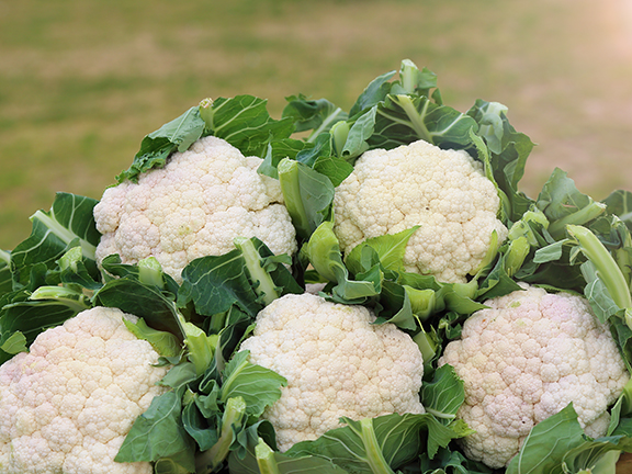 цветная капуста фото