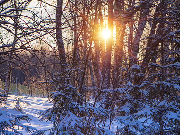 Отзыв. Практические советы людям, которые едут на випассану (февраль 2016)