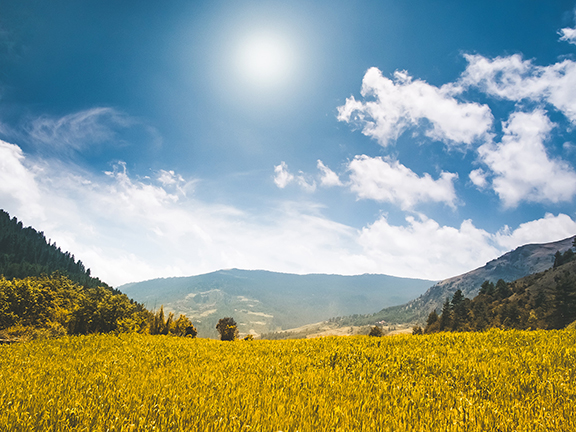 Русский Мир и Европейская цивилизация