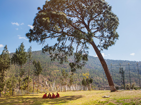 Иччханангала сутта: в Иччханангале