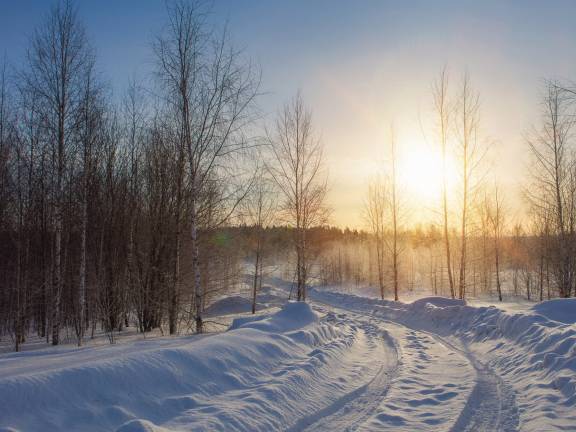 Отзыв о ретрите: спокойно-радостная випассана, январь 2024