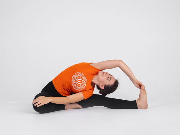 Паривритта Джану Ширшасана