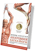 Анатомия хатха йоги