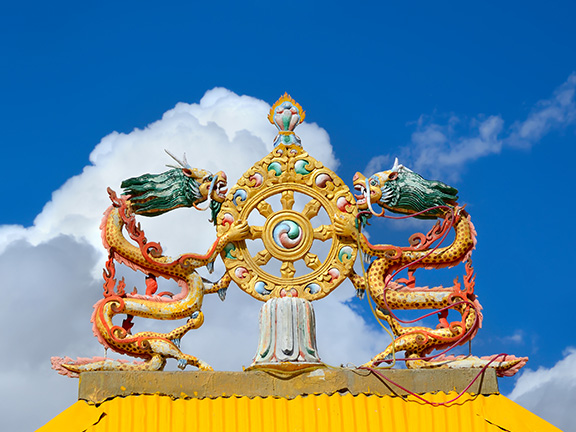 Рыбы становятся богинями