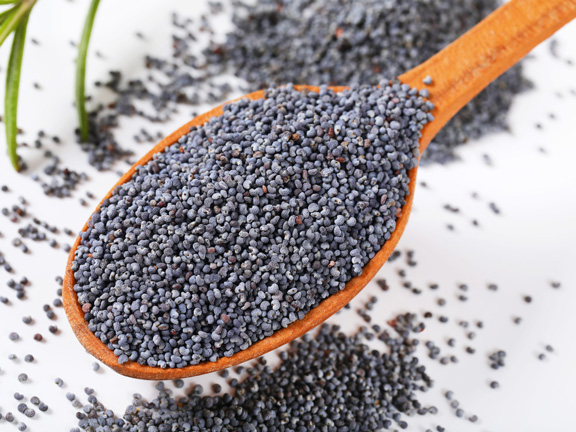 Мак пищевой: полезные свойства и противопоказания