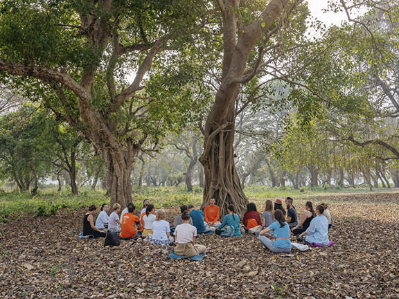 Джатака о стервятнике