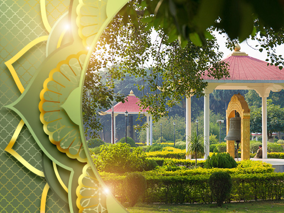 Фотографии