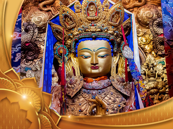 Фотографии